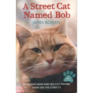 A Street Cat Names Bob by James Bowen