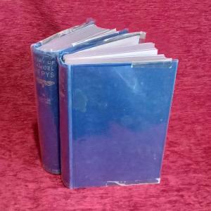 Diary of Samuel Pepys by Samuel Pepys