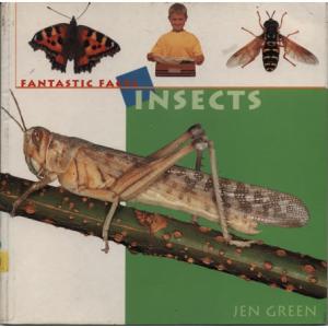 Fantastic Facts Insects by Jen Green