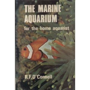 The Marine Aquarium by RFO Connell