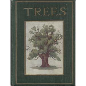 Trees by Janet Harvey Kelman