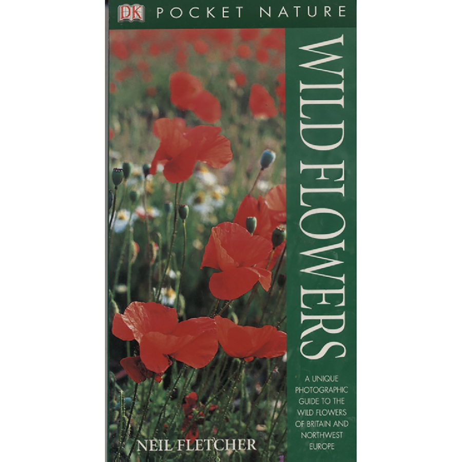 Wild Flowers by Neil Fletcher