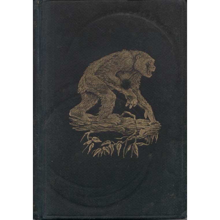 Equatorial Africa and Country of Dwarfs by Paul du Chaillu
