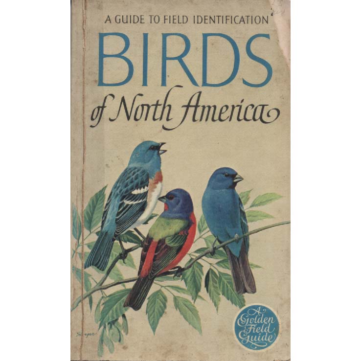Birds Of North America by Chandler S
