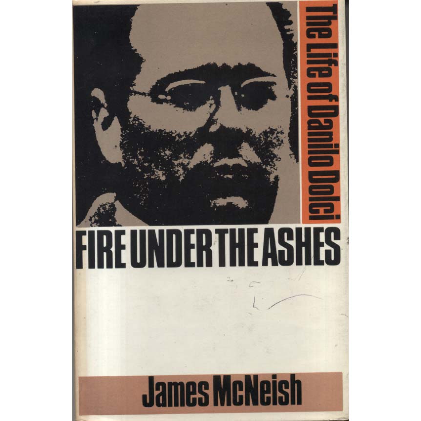 Fire Under The Ashes by James McNeish