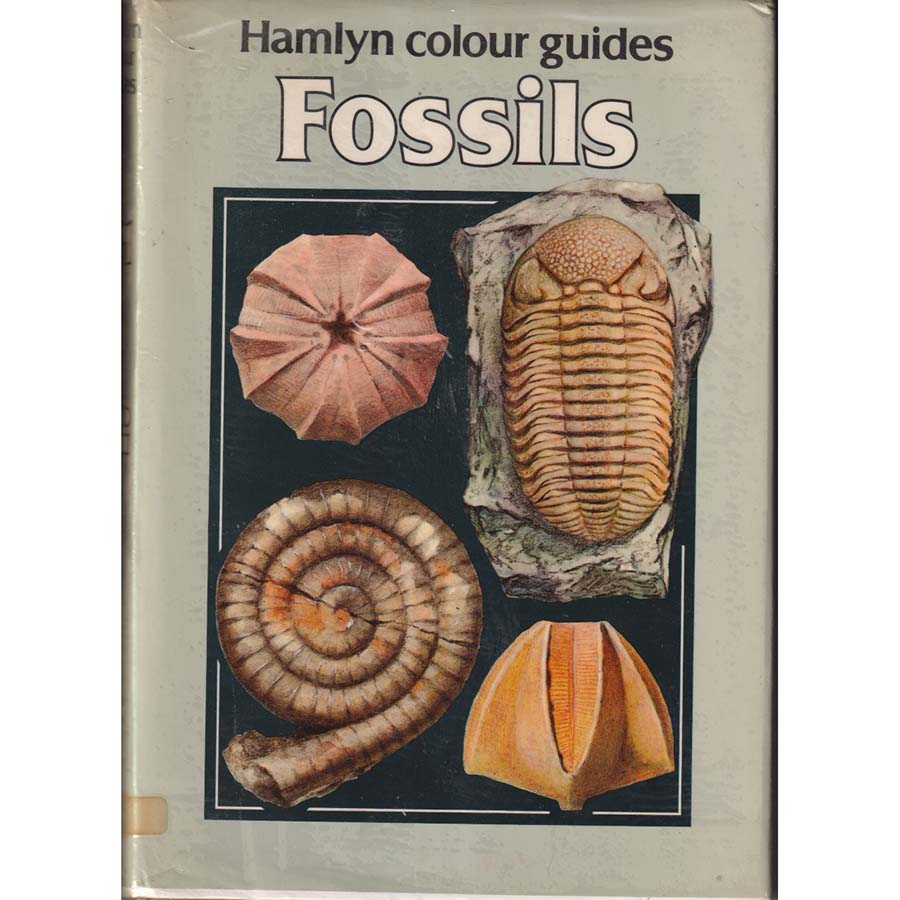 Fossils by Rudolf Prokop