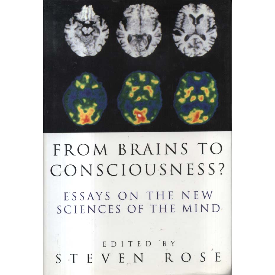 From Brains To Consciousness by Steven Rose
