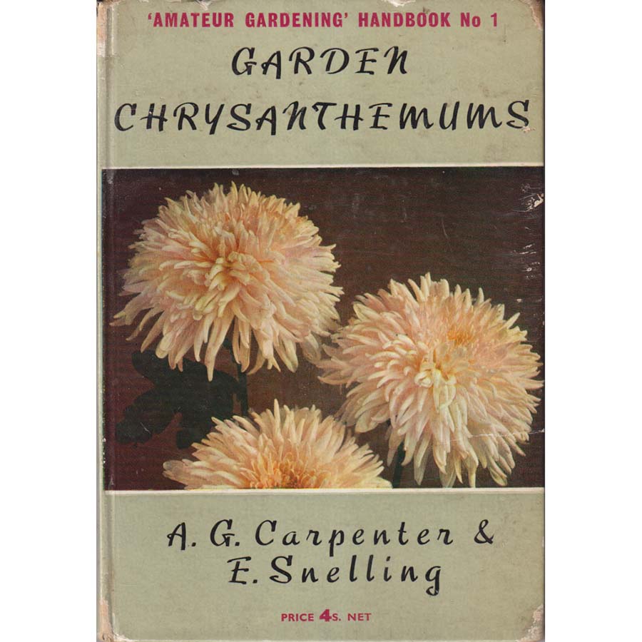 Garden Chrysamthemums by AG Carpenter and E Snelling