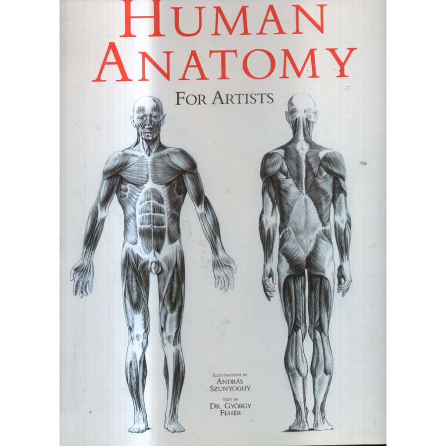 Human Anatomy for Artists by Andras Szunyoghy and Gyorgy Feher