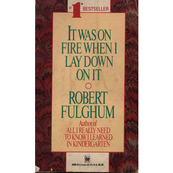 It Was On Fire When I Lay Down on It by Robert Fulghum