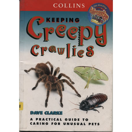 Keeping creepy crawlies by Dave Clarke