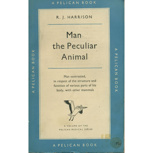 Man The Peculiar Animal by RJ Harrison