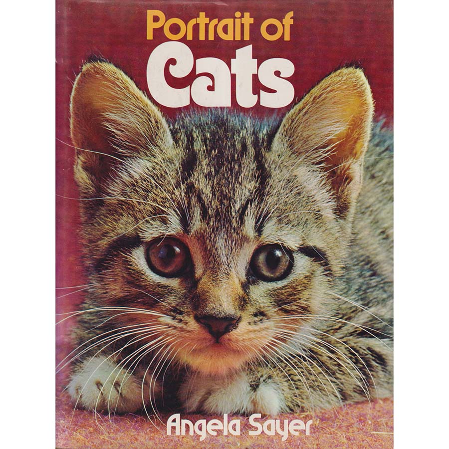 Portrait of Cats by Angela Sayer
