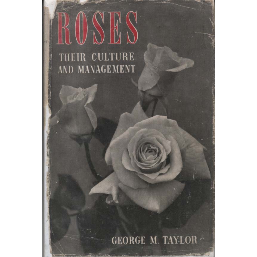 Roses by George M Taylor