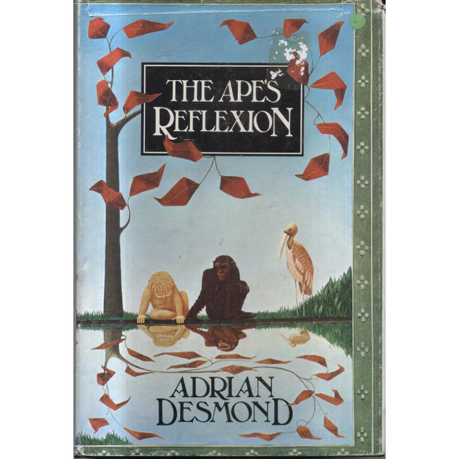 The Apes Relexion by Adrian Desmond
