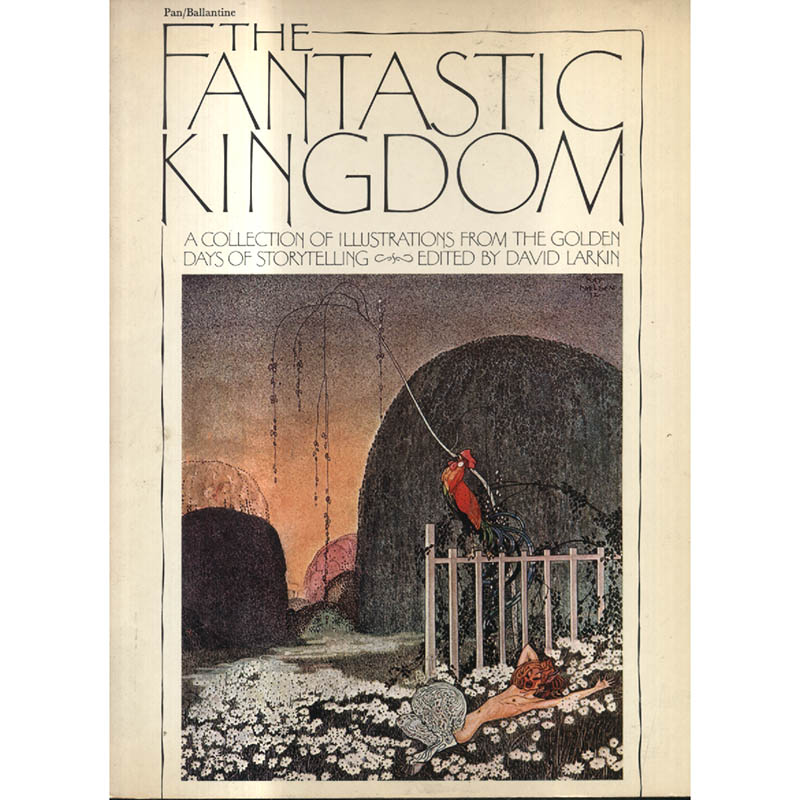 The Fantastic Kingdom by David Larkin