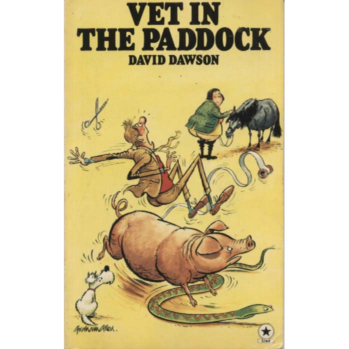 Vet In The Paddock by David Dawson